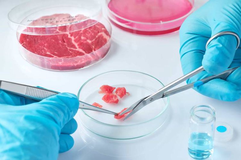 食品研发外包在现代企业中的角色与价值