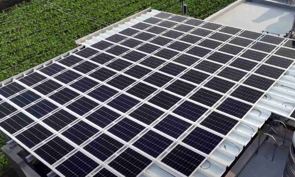 森林舞会SunSteel光电浪板升级双玻结构，，，，以提升机械负载强度及气候耐候度，，，，可广泛运用于多元场域